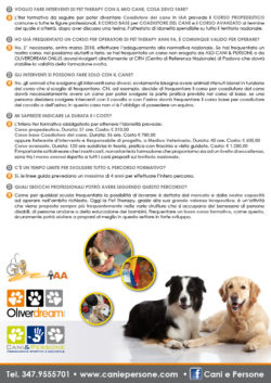 cani-persone-domande-risposte2