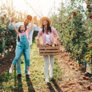 Piccoli frutti e frutteto domestico