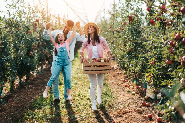 Piccoli frutti e frutteto domestico