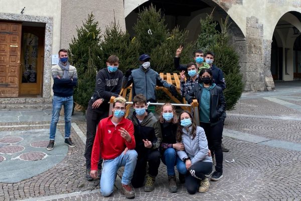 4agricolo e alberi di natale