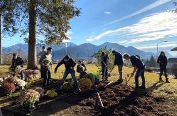 Operatori agricoli al lavoro