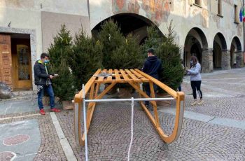 ragazzi fotografati durante i preparativi di natale