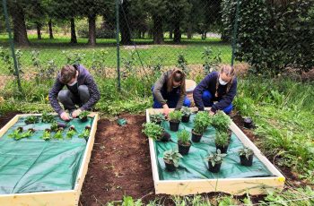 Laboratorio agricolo