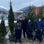 alberi di Natale a Clusone