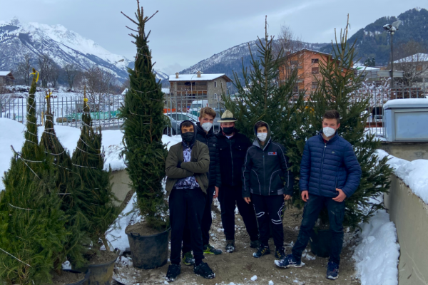 alberi di Natale a Clusone