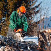 Operatore Forestale a San Giovanni bianco