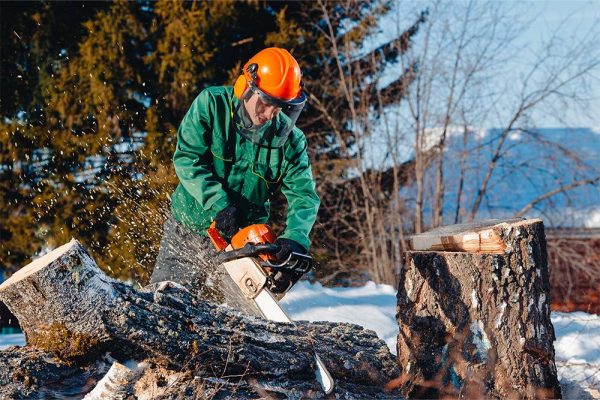 Operatore Forestale a San Giovanni bianco