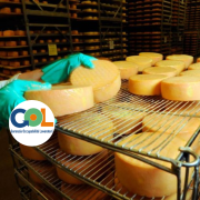operatore delle lavorazioni casearie