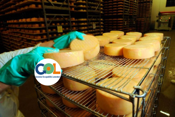operatore delle lavorazioni casearie
