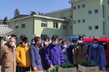 orti in cassetta progetto giro tondo